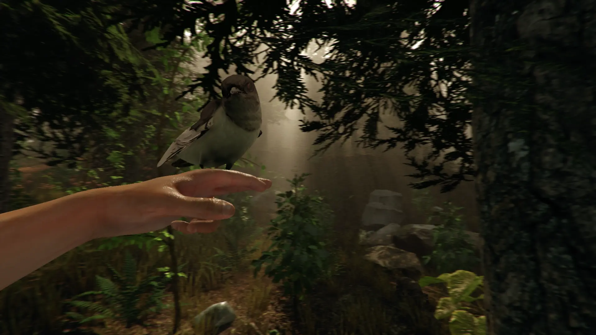 Ïàò÷ v0.05 The Forest by Miy Ïàò÷ v0.05 The Forest by Miy
