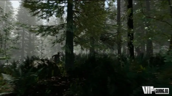 ��� �� ������ � The Forest?