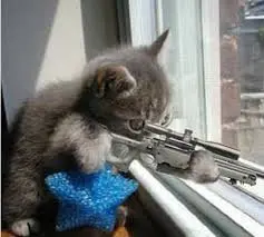 ��� �������� �������/whow to troll sniper