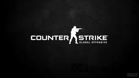 ��� �������� ���� ��� ���� � ���������������� ������ CS: GO