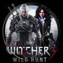 ������ � ���������� The Witcher 3: Wild Hunt (100%)
