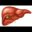 Cave Troll Liver. ������� ��������� ������.
