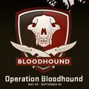 ��� ������ �������� ������� ������ �������� bloodhound ?