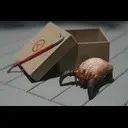 ��� ���� � ��������� �������� ����������