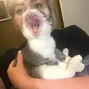 ������ ��������� �� ������