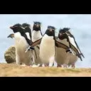 ��� �������� ���������� ����� CS GO �� 50�