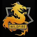 CS GO �������� WildFire