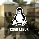 ������� ������ CS:GO �� �� Linux