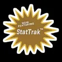 ��� ������ ��������� StatTrak� �� ���� ������