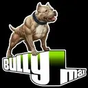 ������ ������� I Ultra Graphics in Bully