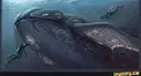 ���� �� ������ ���������. Subnautica