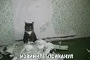 ����� ��� �������� � �������� � ����� �����.