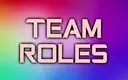 TEAM ROLES
