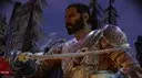 ������ ���� ��� DRAGON AGE ORIGINS