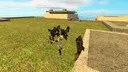 ��� ������� ������� ��������/�������/������