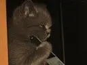 ��� �� �������� ����.
