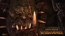 Total War: Warhammer - �����������