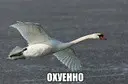 ������ ���������))))))))))))))))