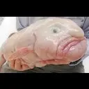 ��� ������� � �������� ����
