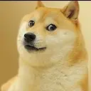 ����� �������� � H1Z1 DISCORD SERVER [RUS]