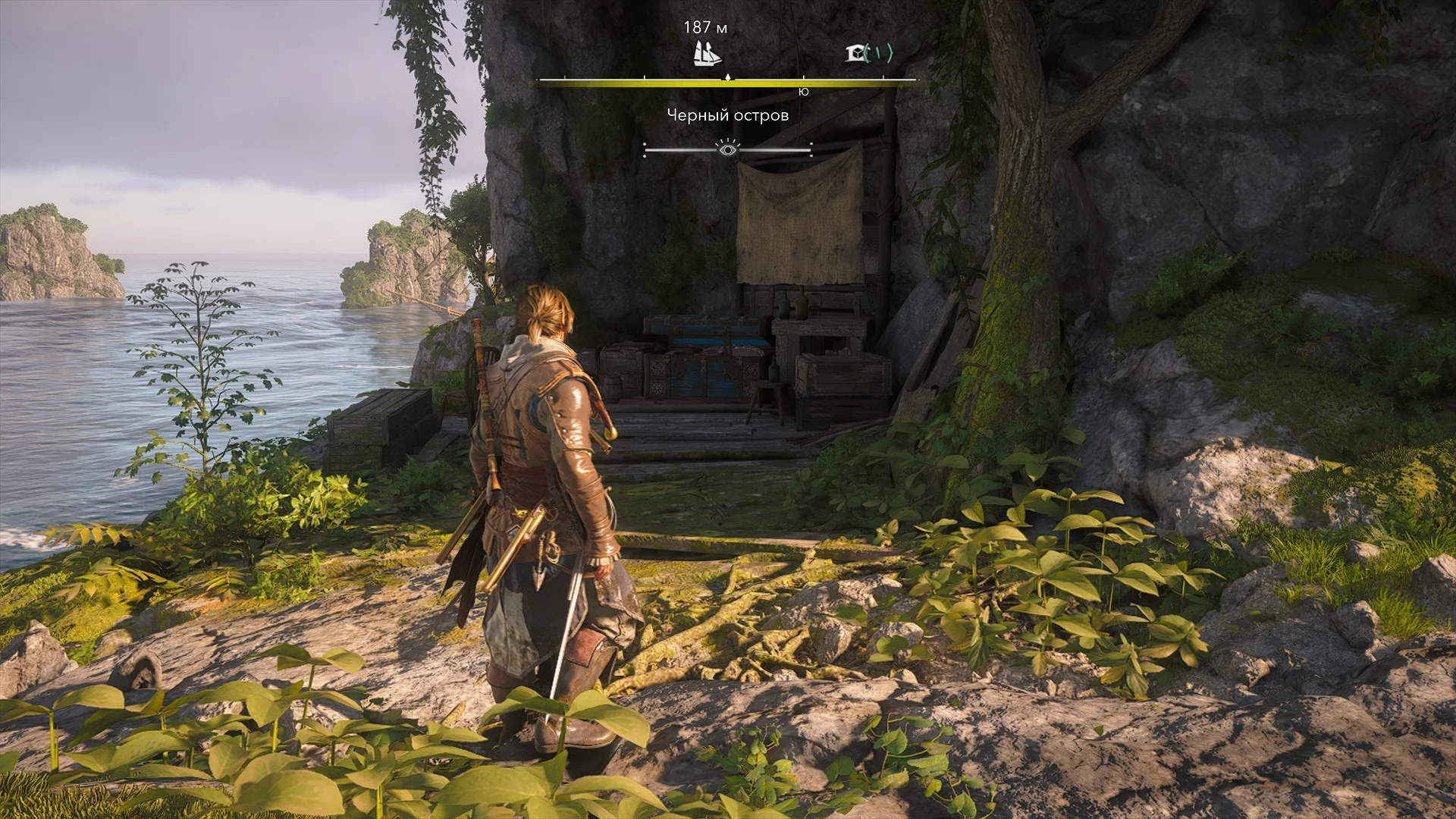 ������� ����������/������� | Assassins Creed Black Flag Resynced