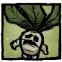 DST: �������� ����� �� ������ (�����, ����, �����, ����). | Dont Starve Together