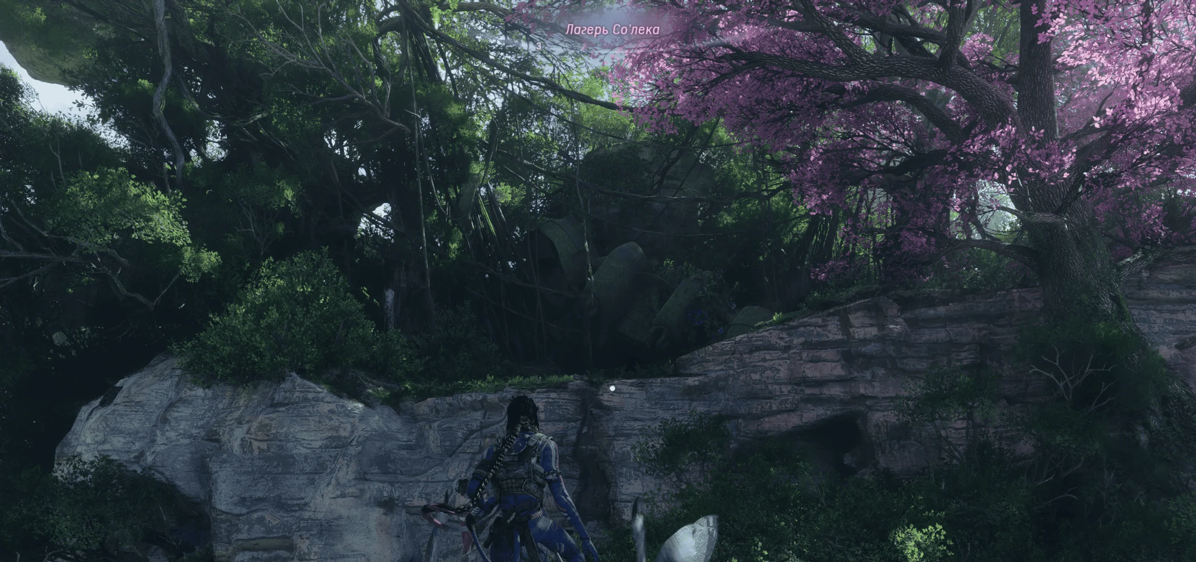 ��� ���������� � ��������� | Avatar: From the Ashes | Avatar: Frontiers of Pandora