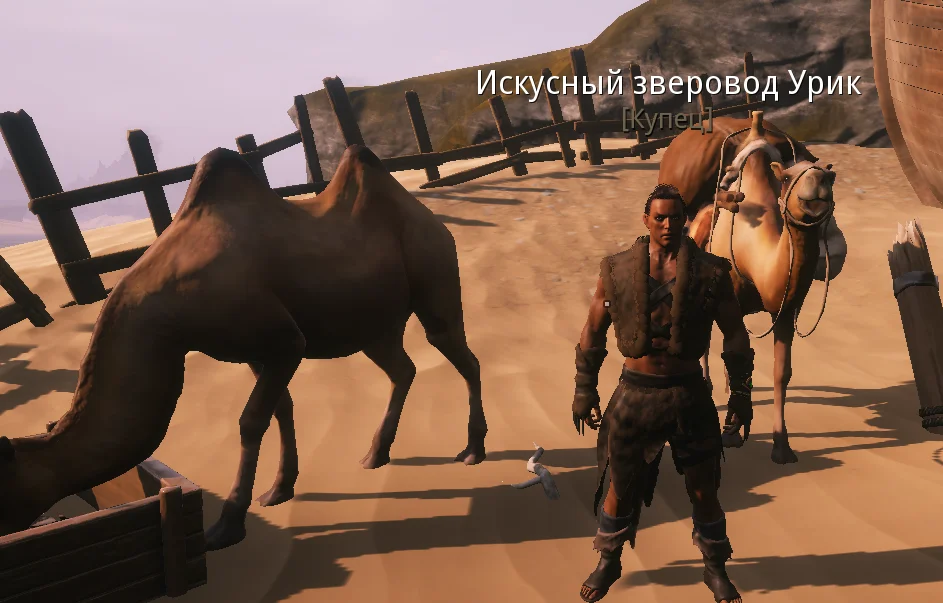 Siptah: Инструкция к началу | Conan Exiles Enhanced