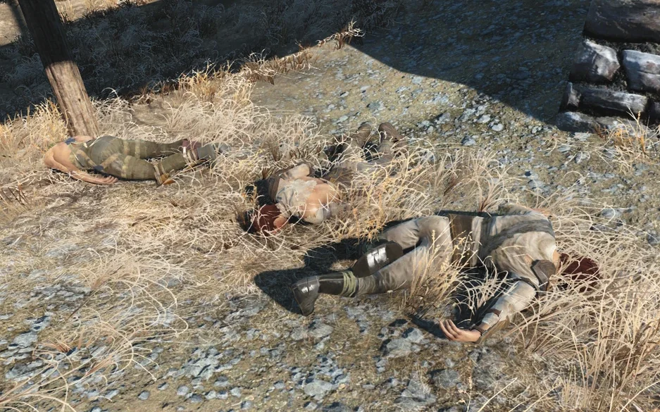Ñëó÷àéíûå âñòðå÷è â Ïóñòîøè Fallout 4