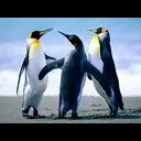 ��� ������ � ���� 2 ���� ������������?