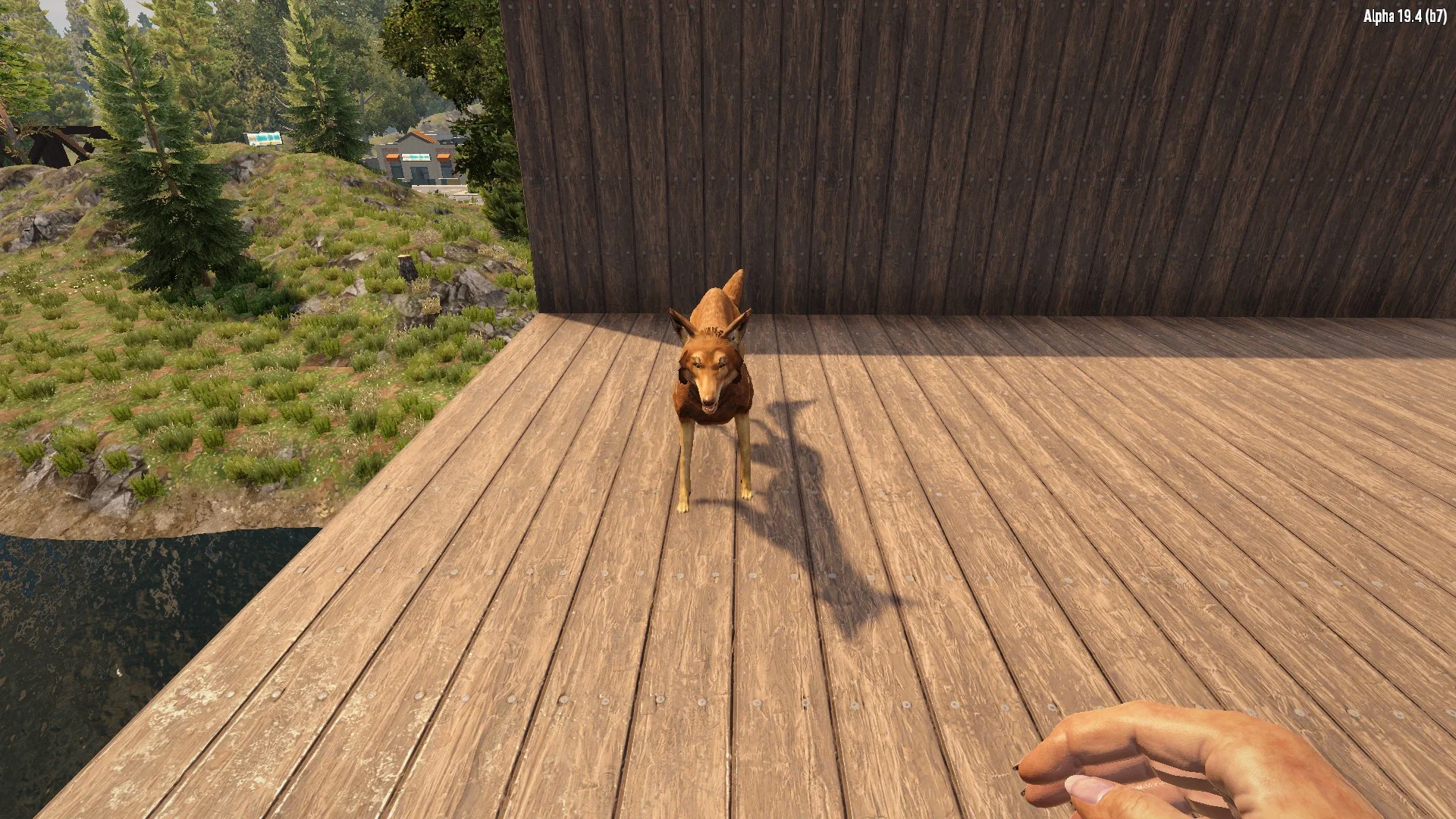 ������ ����  [alpha 19.4] | 7 Days to Die