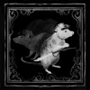 ���� ���������� | Layers of Fear