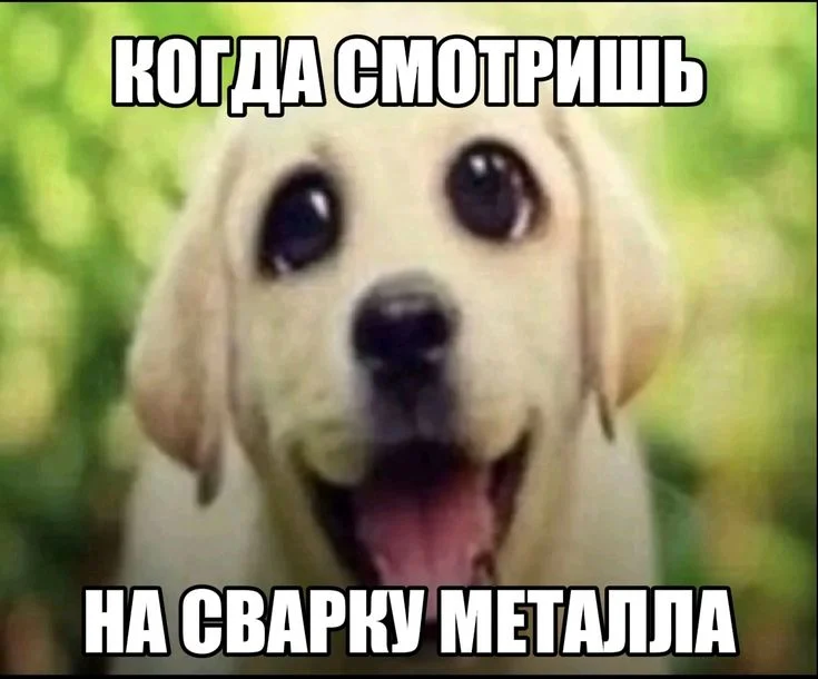 ���� �� ���� | Hearts of Iron IV