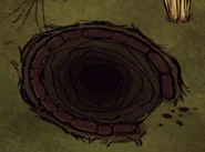 DST: �������� ����� �� ������ (�����, ����, �����, ����). | Dont Starve Together