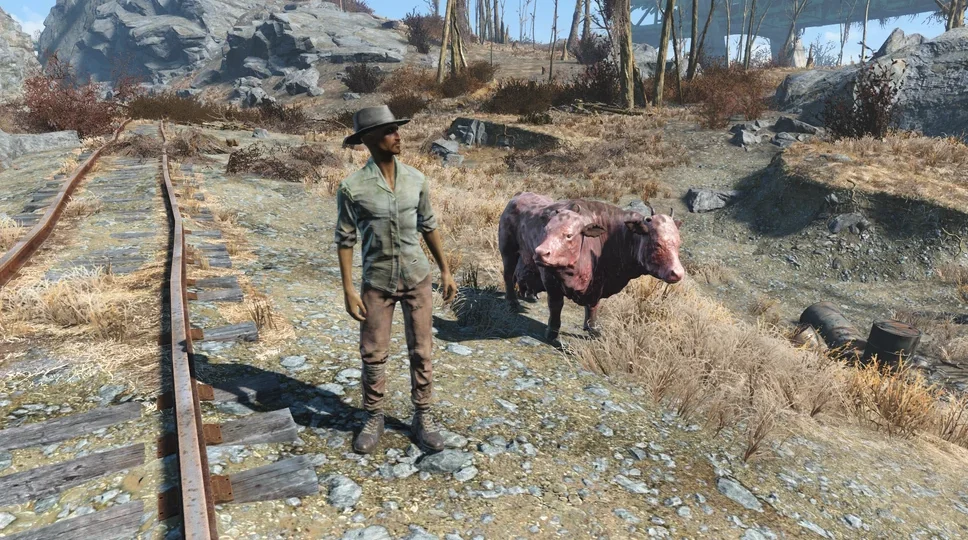 Ñëó÷àéíûå âñòðå÷è â Ïóñòîøè Fallout 4