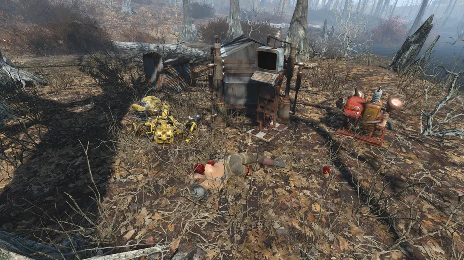 Ñëó÷àéíûå âñòðå÷è â Ïóñòîøè Fallout 4