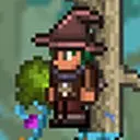 ���� - Terraria