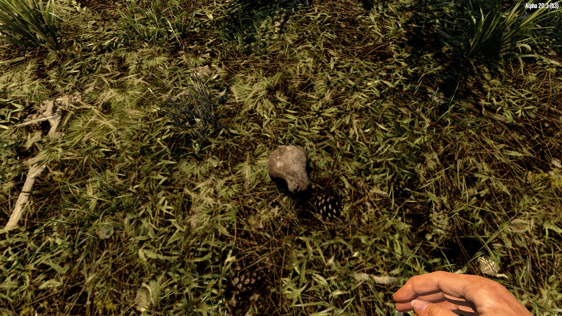 ��� ��������� ������ | 7 Days to Die