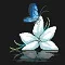 Until Then ����������