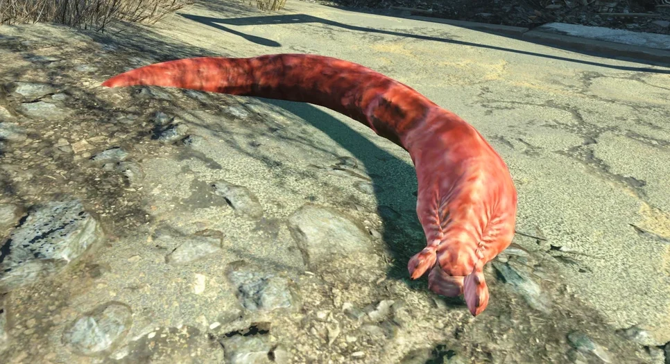 Ñëó÷àéíûå âñòðå÷è â Ïóñòîøè Fallout 4