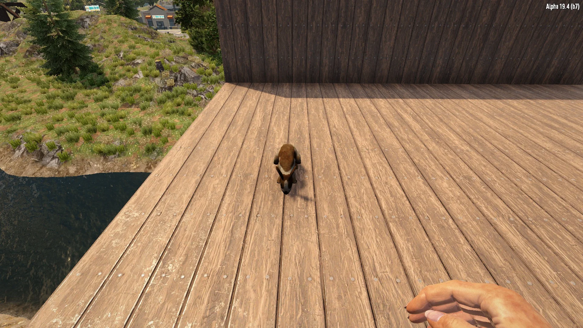 ������ ����  [alpha 19.4] | 7 Days to Die