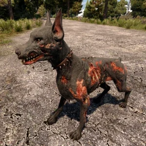 ����������� ��� ���������� | 7 Days to Die