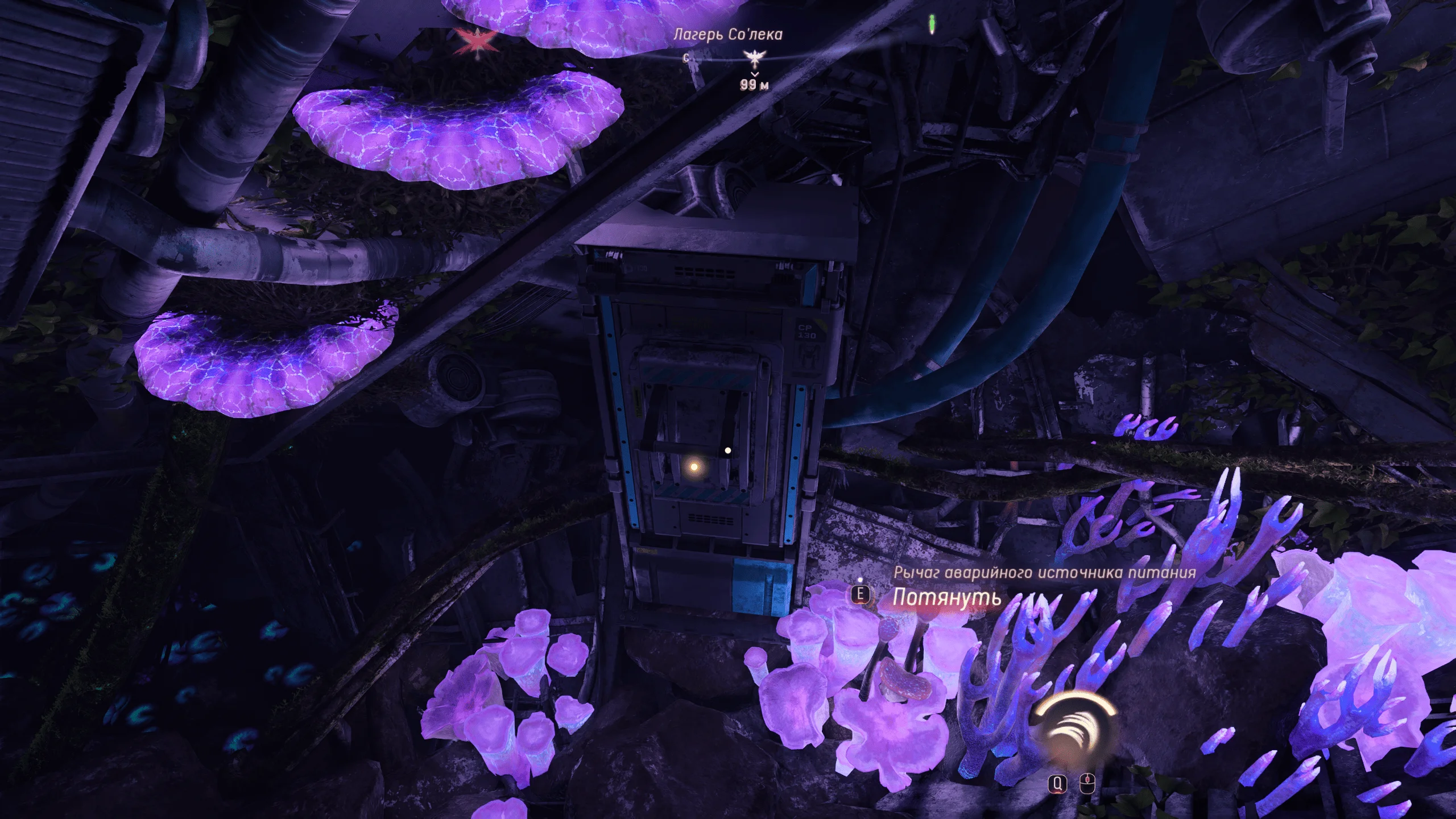��� ���������� � ��������� | Avatar: From the Ashes | Avatar: Frontiers of Pandora