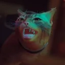 ��� ������� ������� ������? | Stray